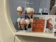-野人先生现做冰淇淋(北京顺义祥云小镇店)