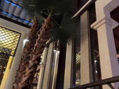 -浅深(天桥店)