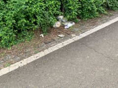 -白鹭湾湿地公园