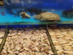 -SEA西雅图海鲜自助餐厅(海乐世界店)