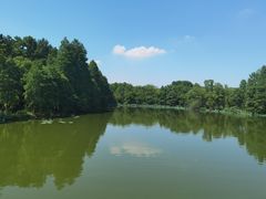 -东湖落雁景区