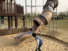 -上海长兴岛郊野公园