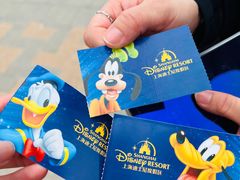 -上海迪士尼度假区