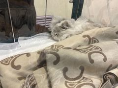 -美联众合动物医院·24h转诊中心
