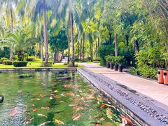 -三亚湾海居铂尔曼度假酒店