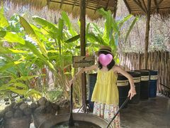 -大象粑粑造纸公园