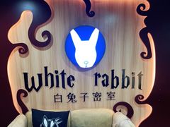 -白兔子密室(长寿路店)