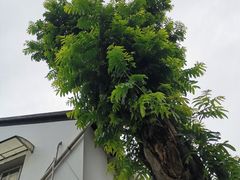 -中国铁路上海局集团有限公司杭州职工培训基地