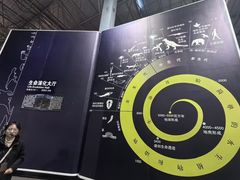 -中国西峡恐龙遗迹园