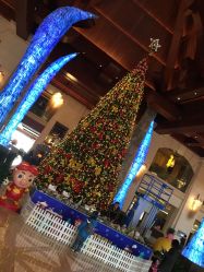 -青岛金沙滩希尔顿酒店·宴会厅