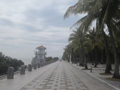 -宝安西湾红树林湿地公园