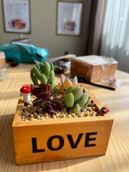 -养月堂中医养生月子会所(中心妇产店)