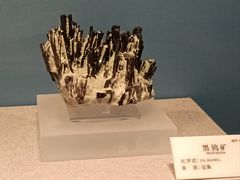 -贵州省地质博物馆