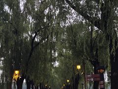 -北陵公园