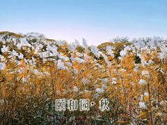 -颐和园