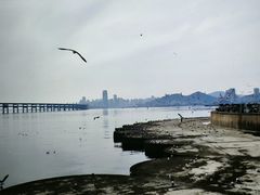 -星海广场