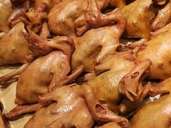 -燕郊烧鸽子(广安路店)