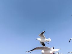 -海埂大坝