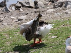 -长春市南湖公园