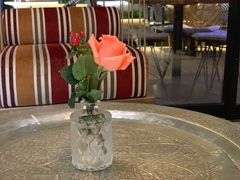 -ELI FALAFEL Lebanese&Mediterranean黎巴嫩美食(富城路店)