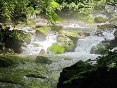 -本溪汤沟绿石谷森林公园