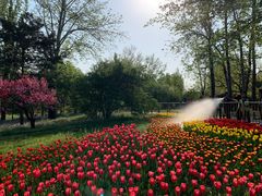 -国家植物园南园