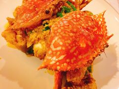 -Red Lobster