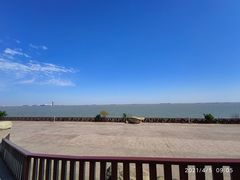 -上海滨江森林公园