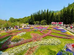 -深圳仙湖植物园