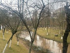 -沐仙湖湿地公园
