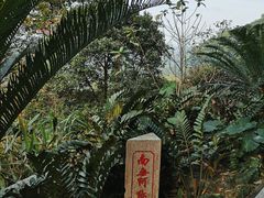 -深圳仙湖植物园