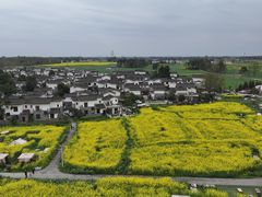 -桤木河湿地公园