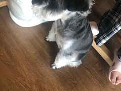 -仰生如卉推拿养生馆(酒仙桥店)