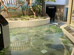 -延庆地质公园博物馆