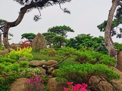 -罗红摄影艺术馆