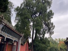 -武侯墓风景区