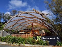 -怀托摩萤火虫洞