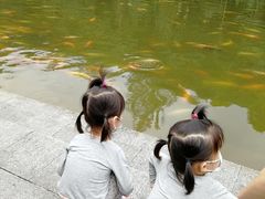 -云溪植物园