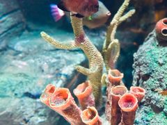 -沈阳海洋探索中心