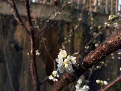 -西郊八号·山野江西菜(开发区店)