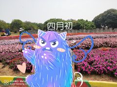-松山湖梦幻百花洲