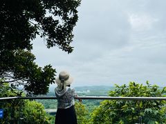 -南宁良凤江国家森林公园