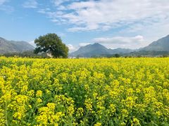 -楠溪江风景名胜区
