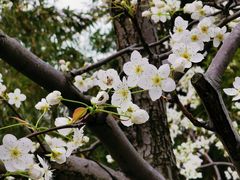 -白塘生态植物园