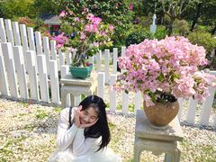 -东莞植物园