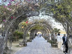 -大梅沙海滨公园