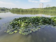 -彩虹湖公园