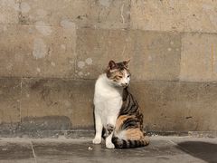 -西园寺