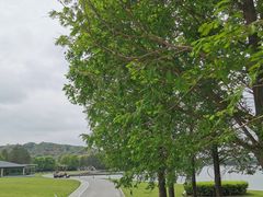 -上海月湖雕塑公园