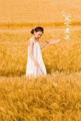 点击看大图 -YUEYAR PHOTO摄影